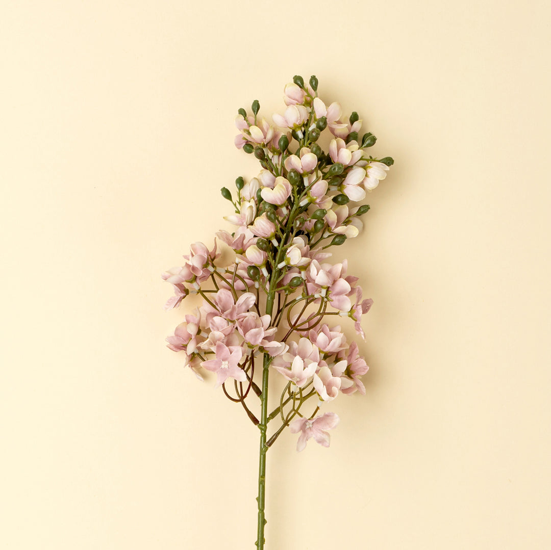Indaba  Delphinium Branch 01-9441