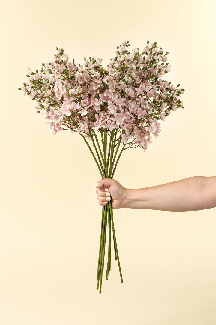 Indaba  Delphinium Branch 01-9441