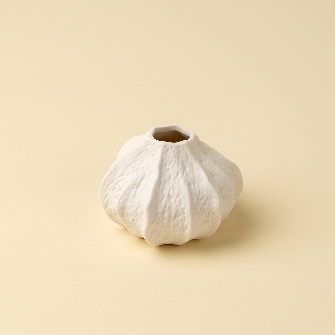 Indaba Coraline Vase Collection