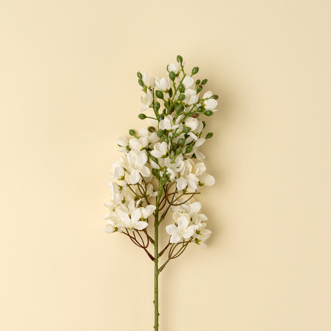 Indaba White Delphinium Stem