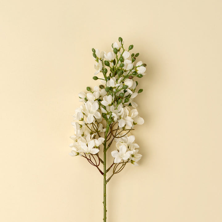 Indaba White Delphinium Stem