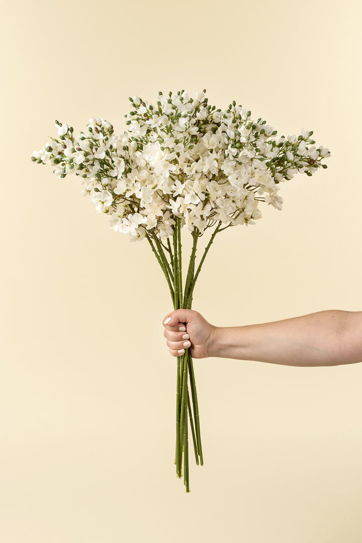 Indaba White Delphinium Stem