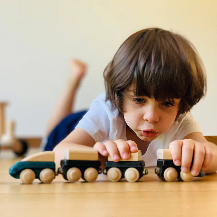 Plan Toys Hybrid Train   6290