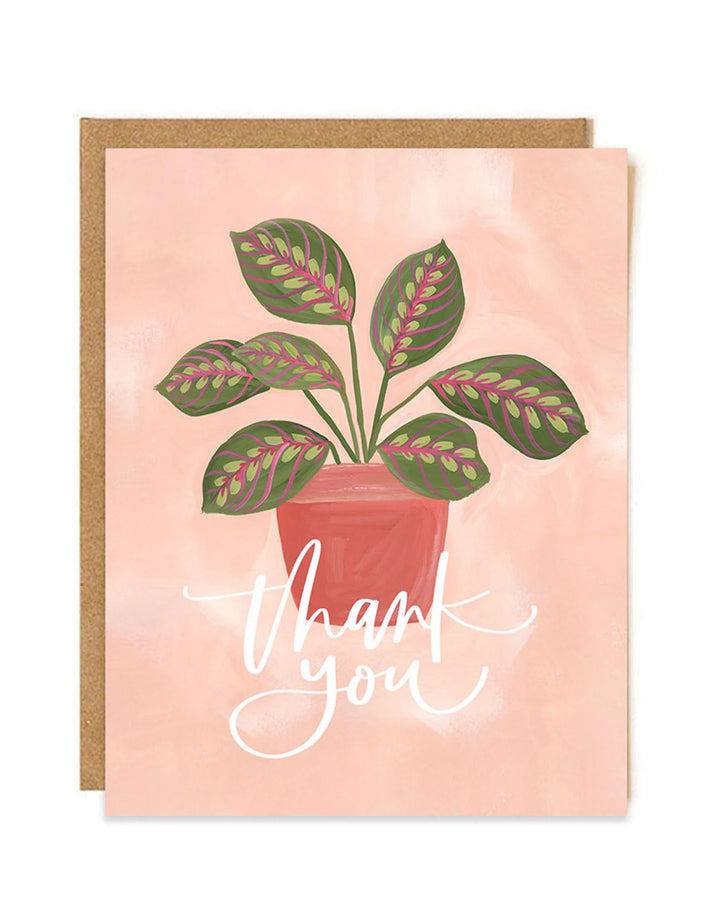1Canoe2 Greenhouse Specialty Greeting Card Box Set