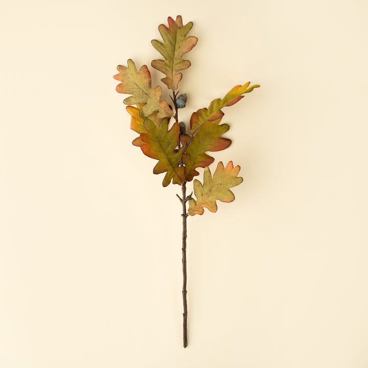 Indaba Oak Leaf Spray  01-8570