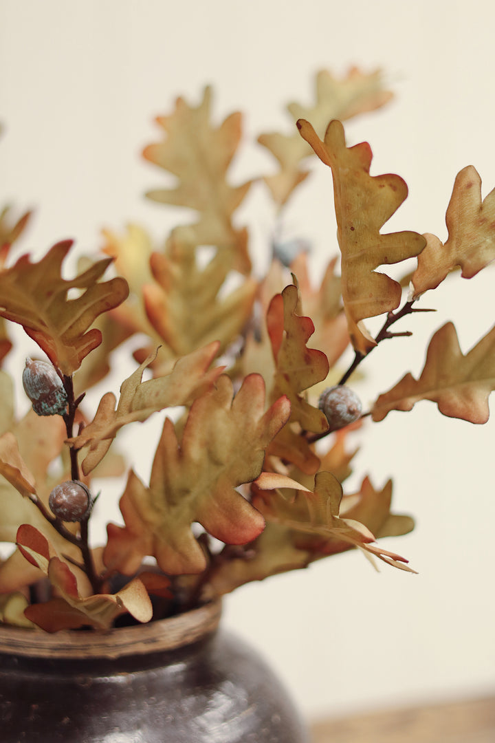Indaba Oak Leaf Spray  01-8570