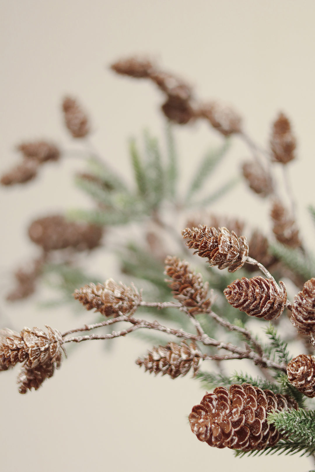 Indaba Frosted Pinecone Sprig  5-2047