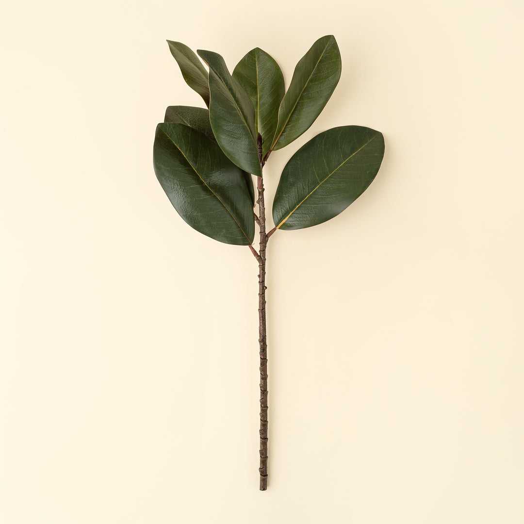 Indaba Magnolia Leaf Branch  01-8463