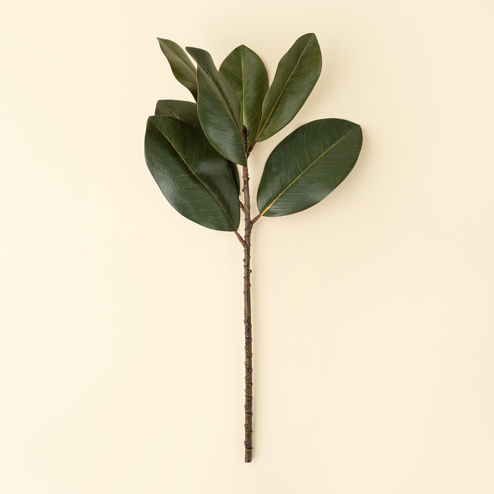 Indaba Magnolia Leaf Branch  01-8463