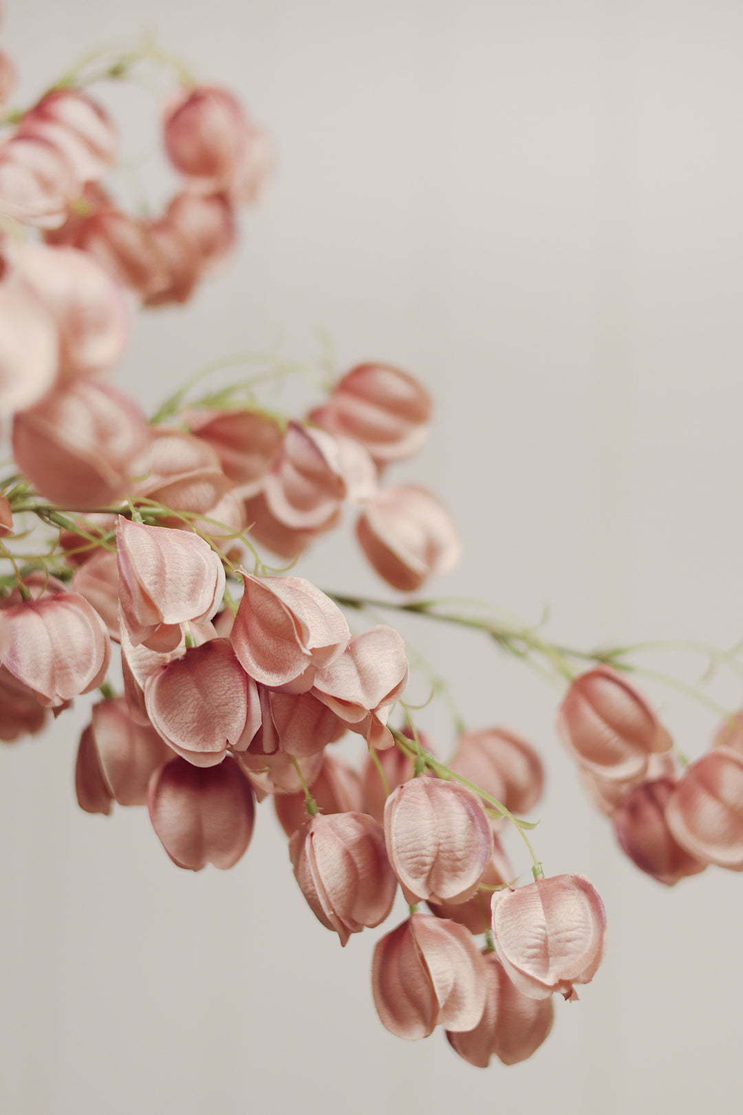 Indaba Lantern Flower Stem  01-8466  Dusty Pink