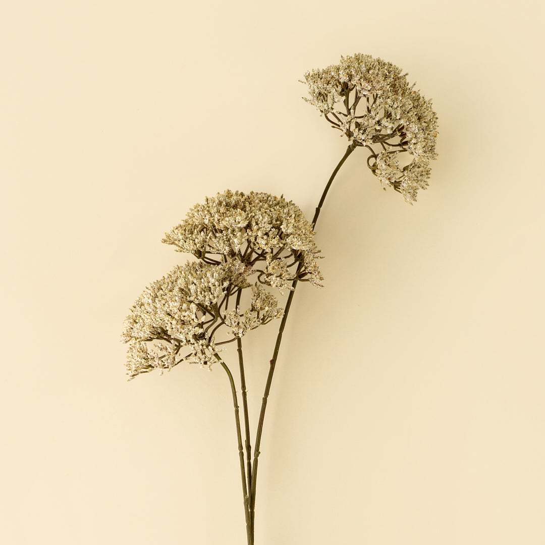 Indaba Queen Anne's Lace Spray  01-8587
