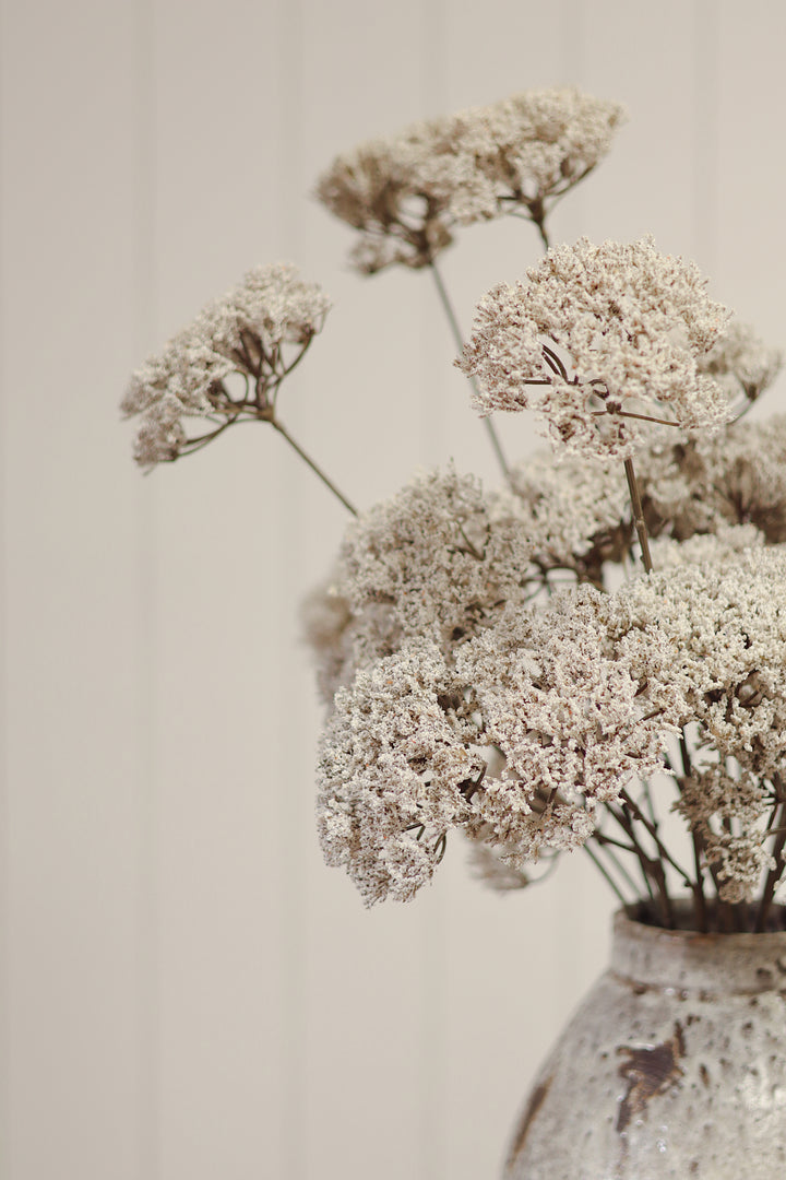 Indaba Queen Anne's Lace Spray  01-8587