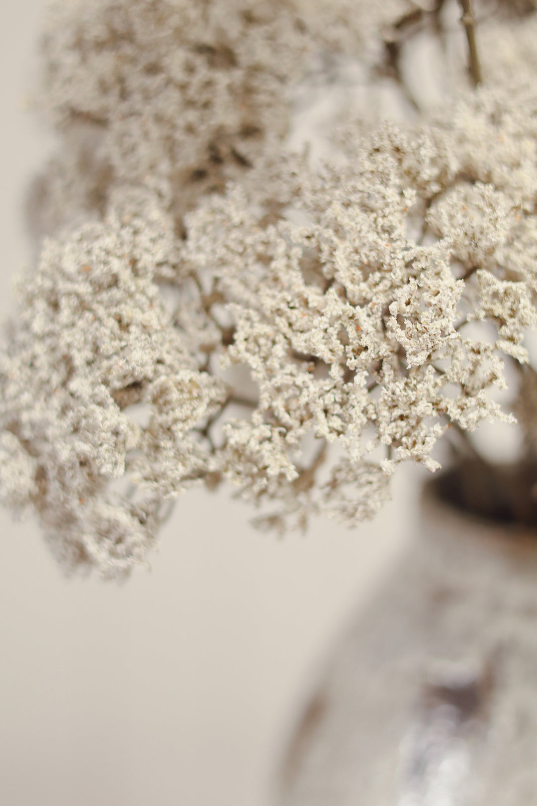 Indaba Queen Anne's Lace Spray  01-8587