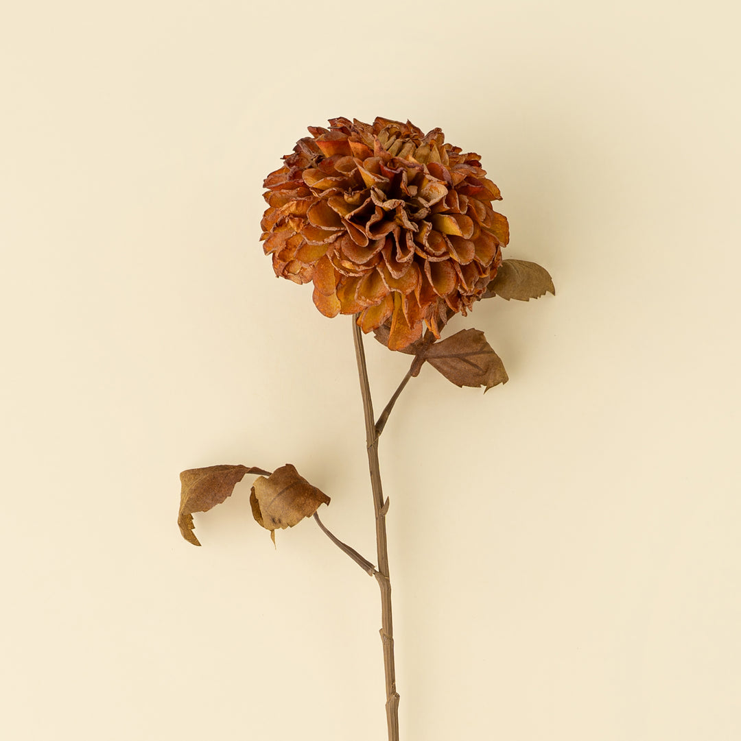 Indaba Pompom Dahlia Stem  01-8580  Brown