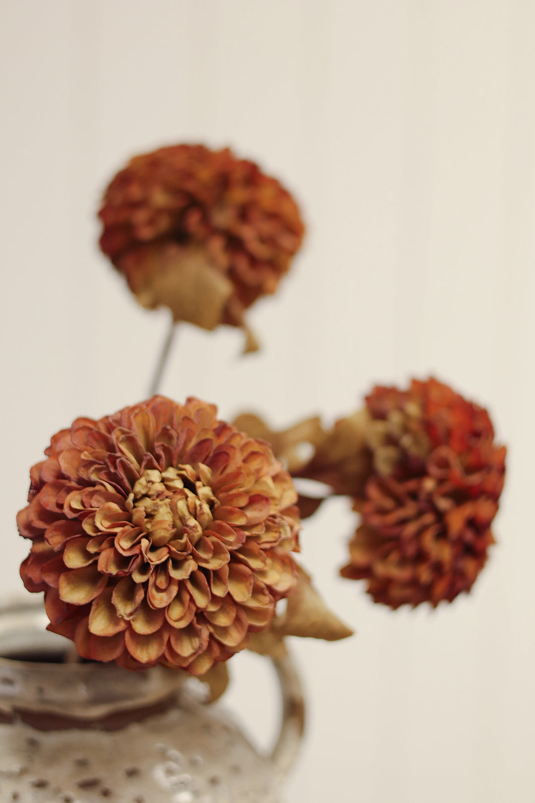 Indaba Pompom Dahlia Stem  01-8580  Brown
