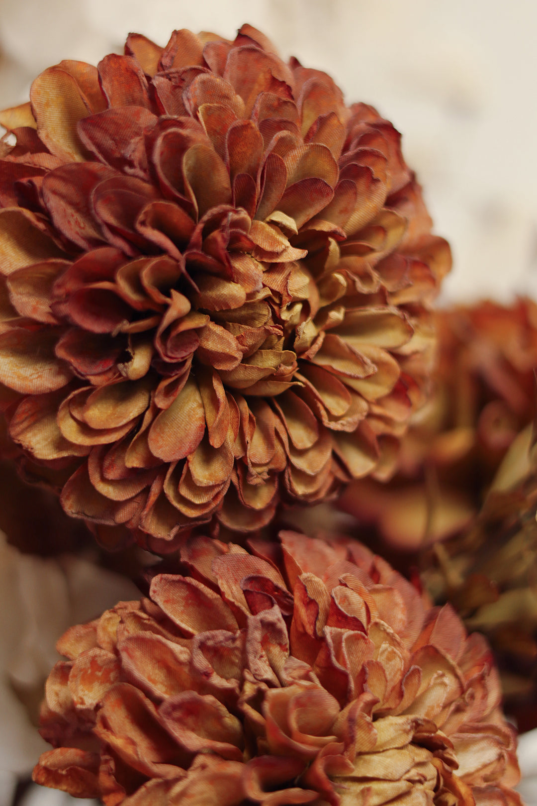 Indaba Pompom Dahlia Stem  01-8580  Brown