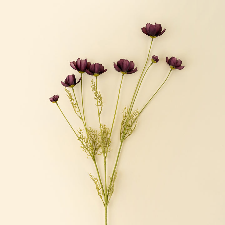 Indaba Calliopsis Spray  01-8484  Deep Purple