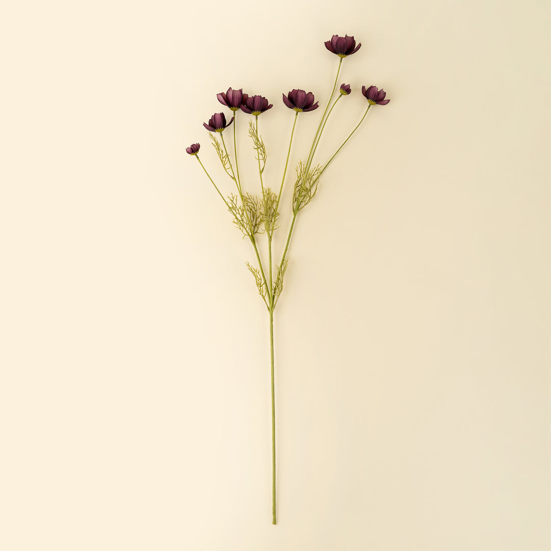 Indaba Calliopsis Spray  01-8484  Deep Purple