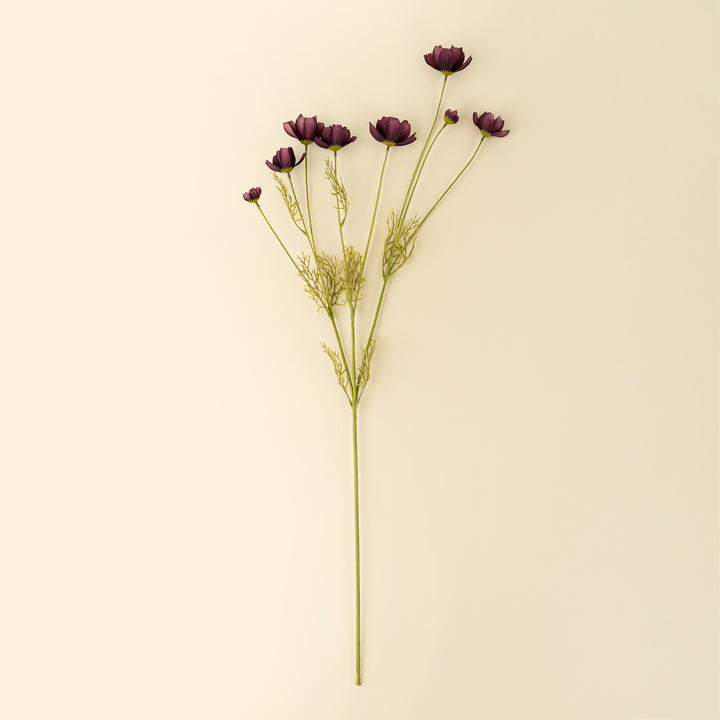 Indaba Calliopsis Spray  01-8484  Deep Purple