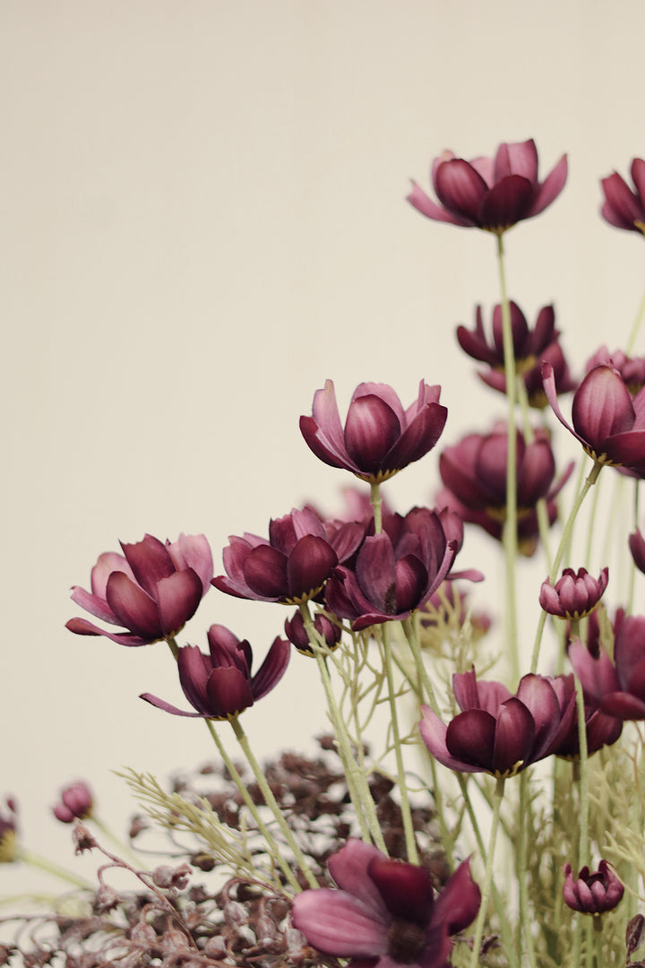 Indaba Calliopsis Spray  01-8484  Deep Purple