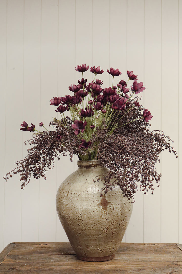 Indaba Calliopsis Spray  01-8484  Deep Purple
