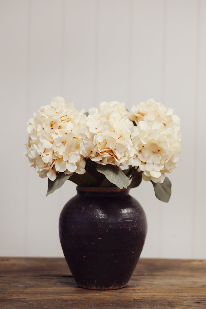 Indaba Autumn Hydrangea Spray  01-8410  Cream