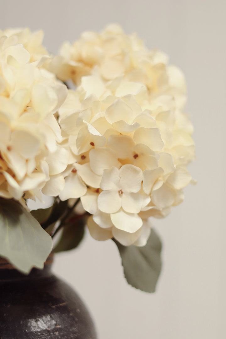 Indaba Autumn Hydrangea Spray  01-8410  Cream
