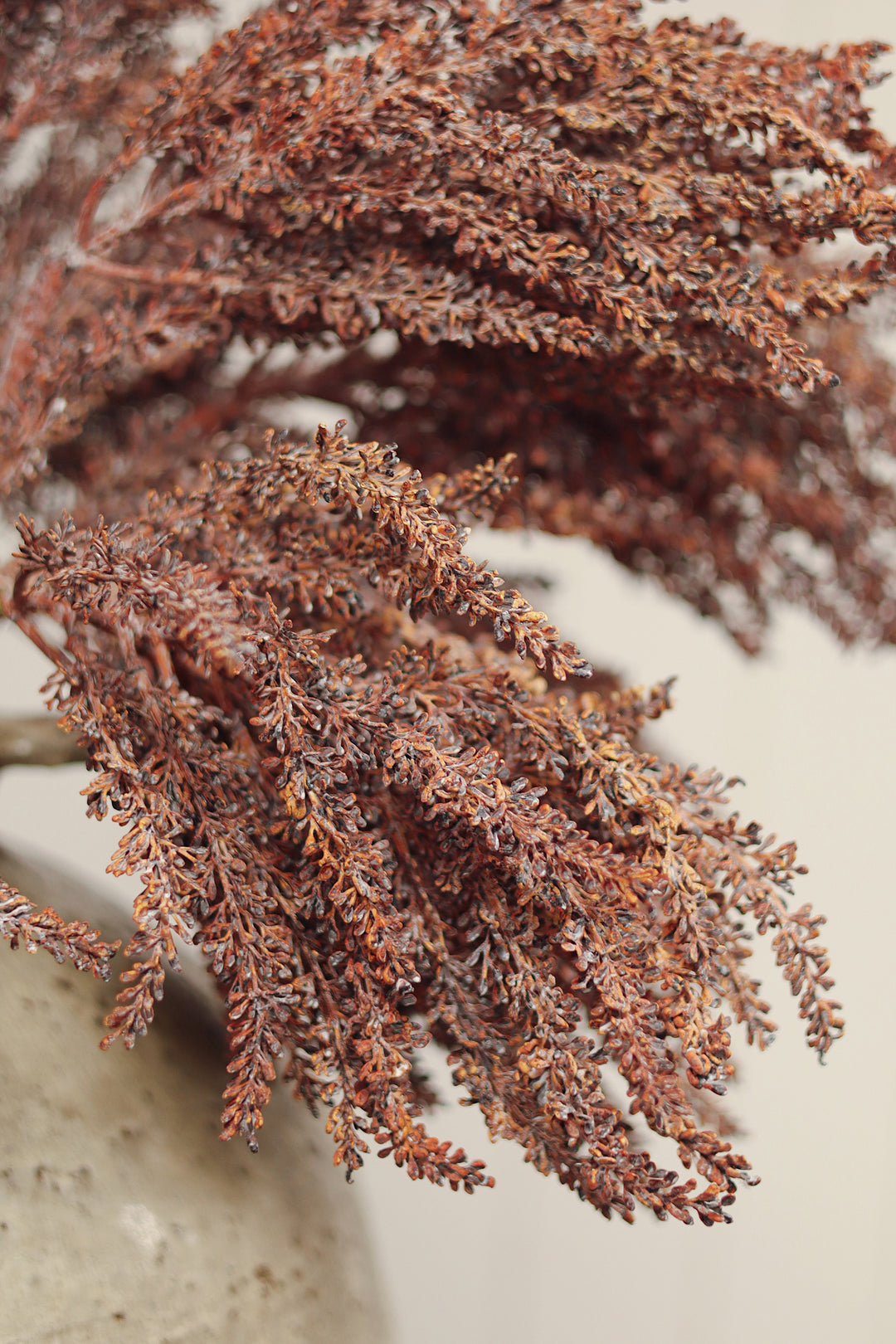 Indaba Autumn Grain Spray  018455