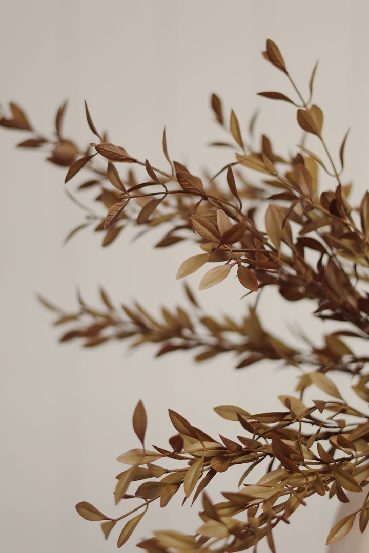 Indaba Willow Leaf Spray  01-8490  Harvest