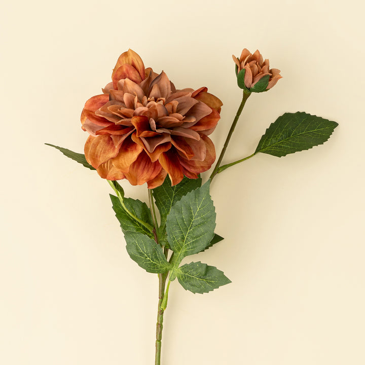 Indaba Dahlia Stem  01-8588  Terracotta