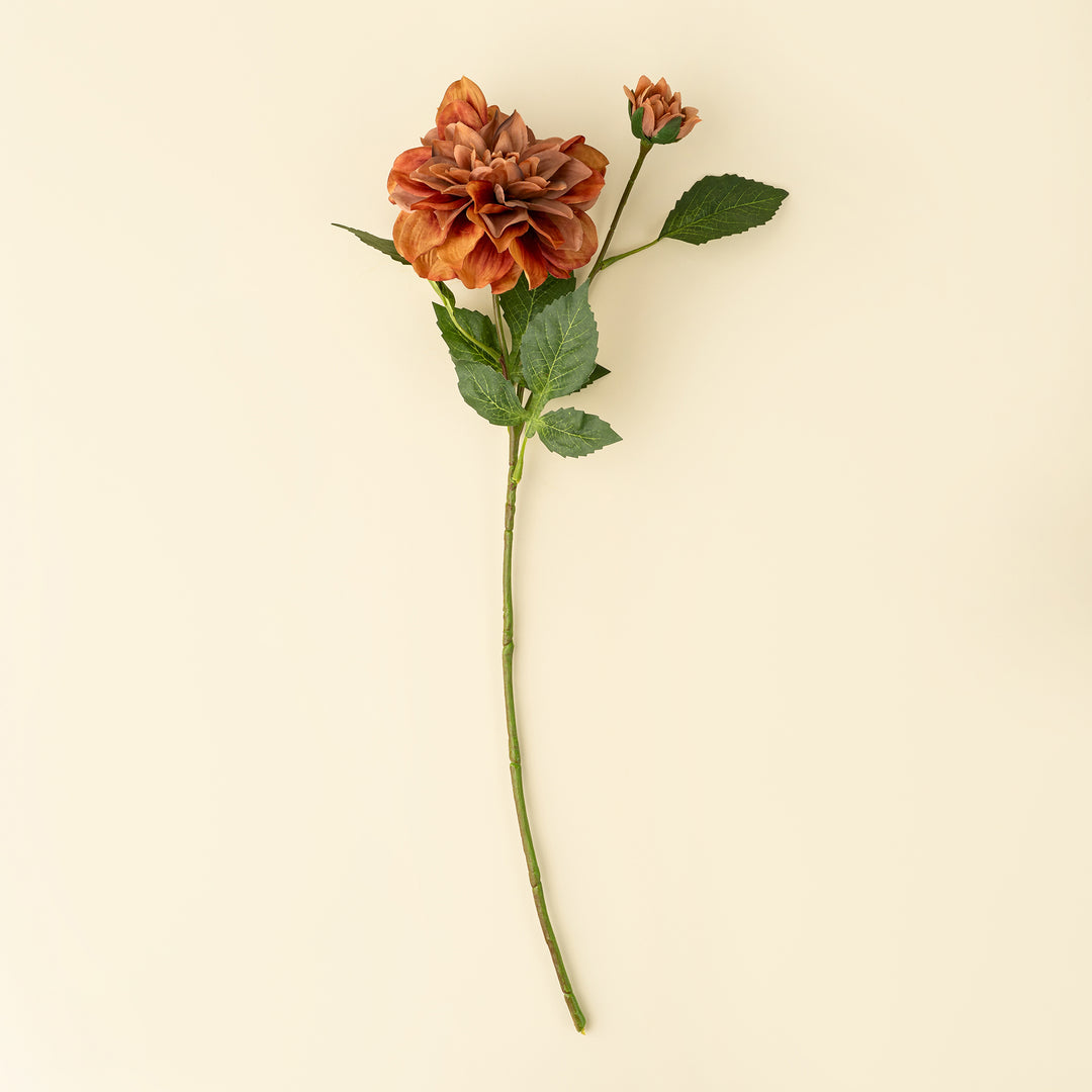 Indaba Dahlia Stem  01-8588  Terracotta