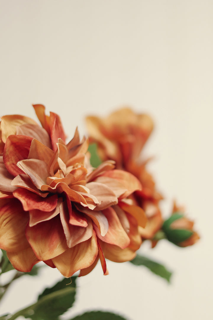 Indaba Dahlia Stem  01-8588  Terracotta
