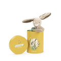 Moulin Roty Trois Petits Lapins   678027   Sage Rabbit in Box