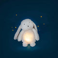 Moulin Roty Puce & Pilou   684030   Light Up Rabbit