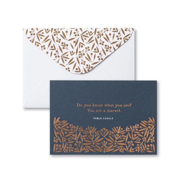 Compendium Boxed Note Card Set  6947  Believe