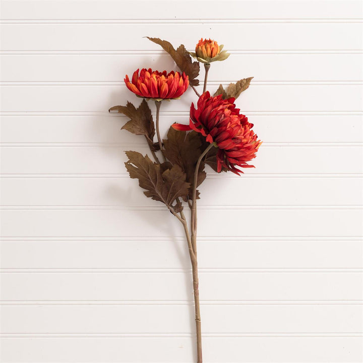 Audrey's Rust Mum 6F7646