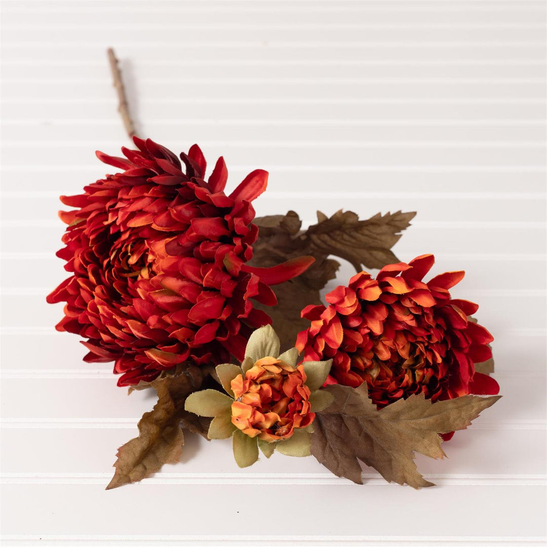 Audrey's Rust Mum 6F7646