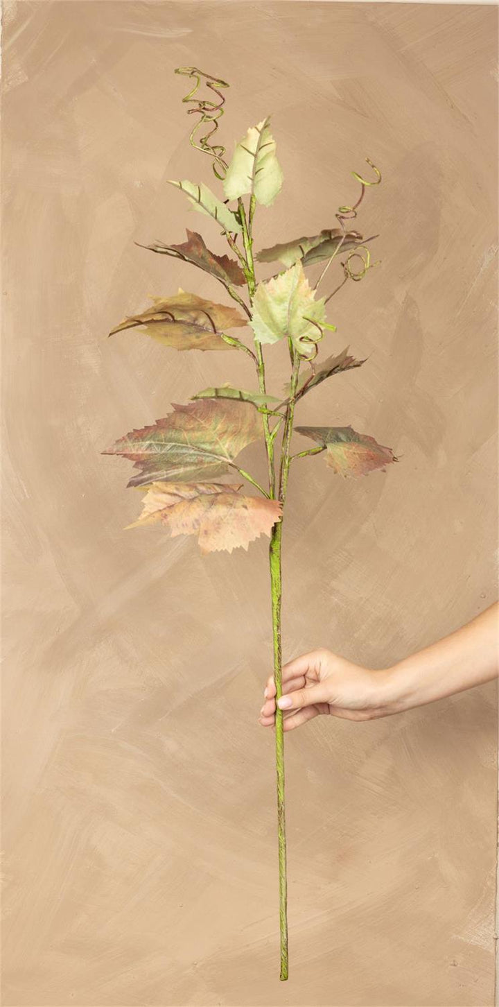 Audrey's Grape Leaf Stem 6F7841