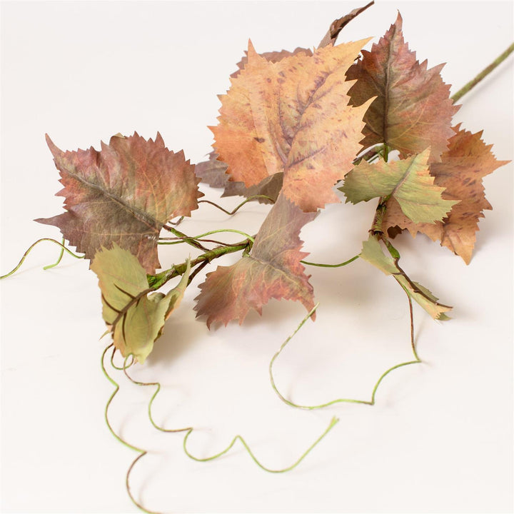 Audrey's Grape Leaf Stem 6F7841