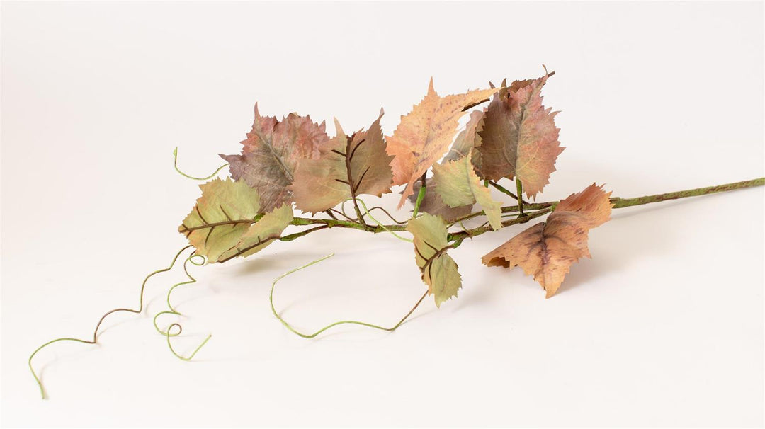 Audrey's Grape Leaf Stem 6F7841