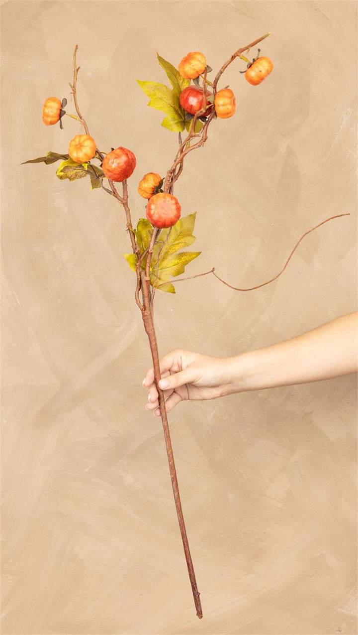 Audrey's Pumpkin Branch 6F7867