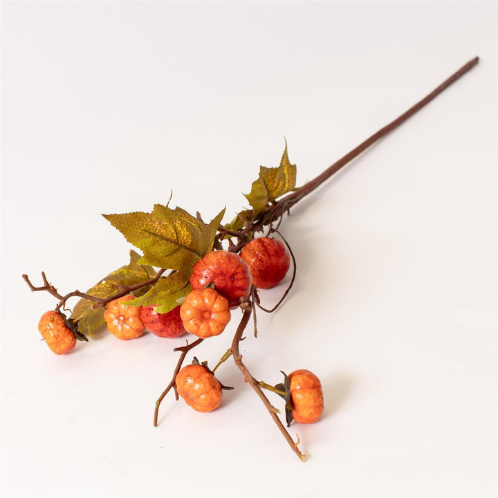 Audrey's Pumpkin Branch 6F7867