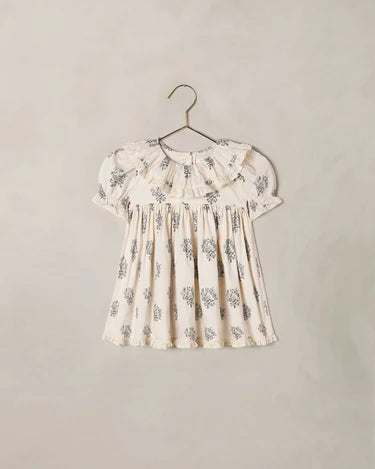 Noralee Baby Girl Amelia Dress   NL050PRNC   Frost Bouquet