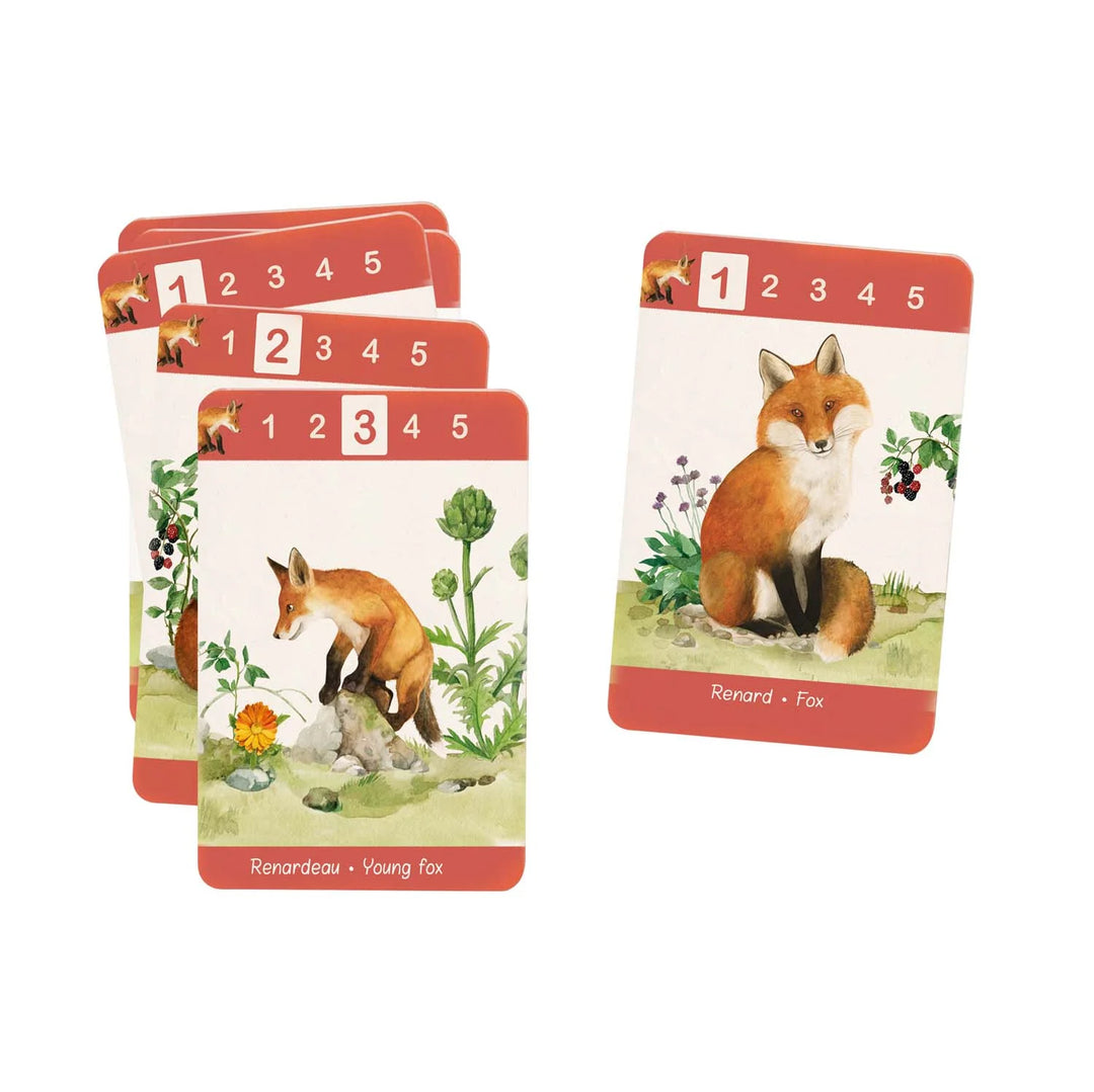 Moulin Roty Happy Families Game   712434