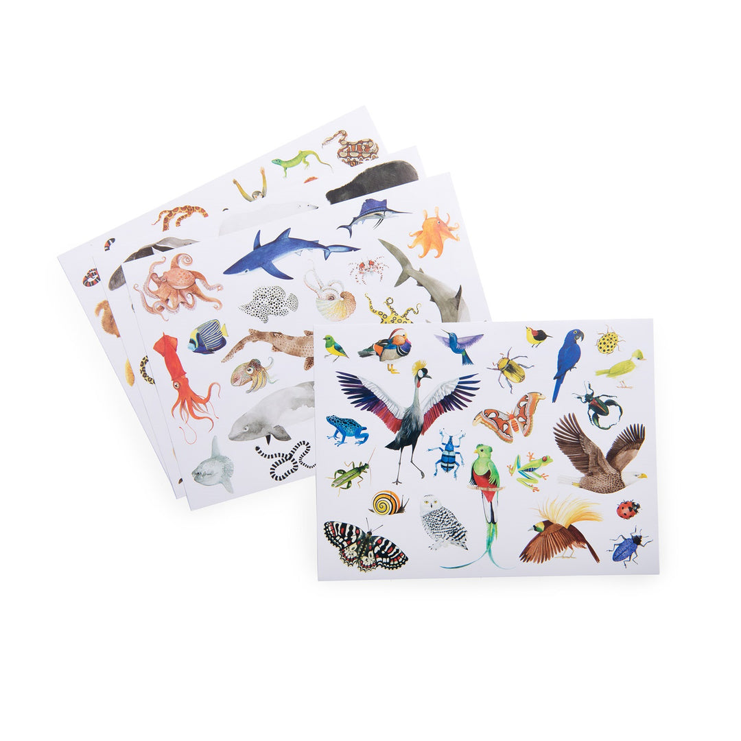 Moulin Roty Animals of the World Stickers  719189