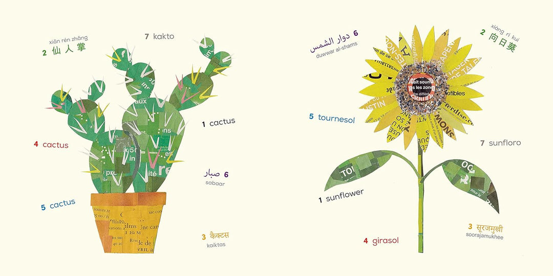 Words Of The World Book - Plants