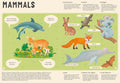 Encyclopedia Of Animals For Young Readers By Tomas Tuma