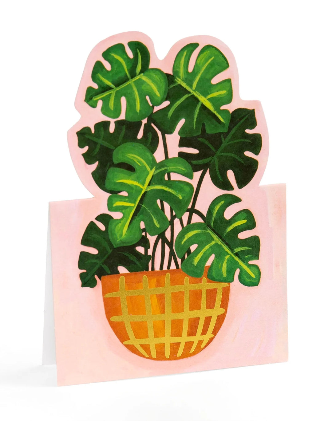 1Canoe2 Potted Plants Pop-Up Greeting Card Box Set