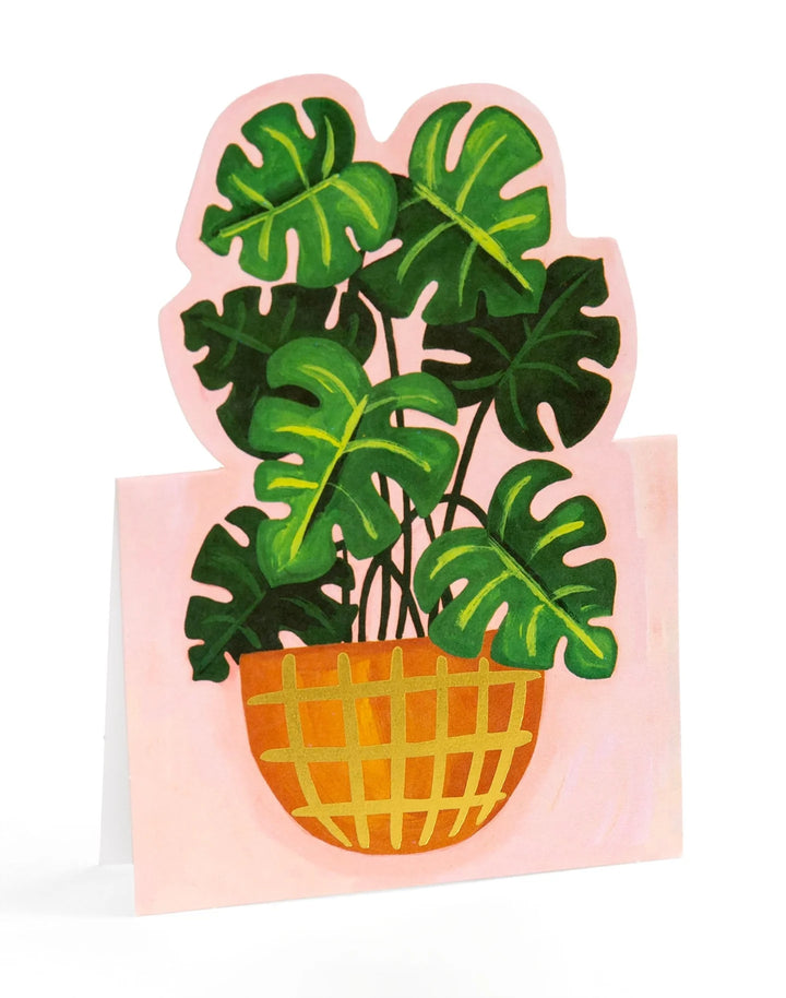 1Canoe2 Potted Plants Pop-Up Greeting Card Box Set
