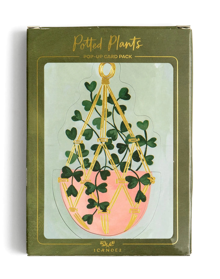 1Canoe2 Potted Plants Pop-Up Greeting Card Box Set